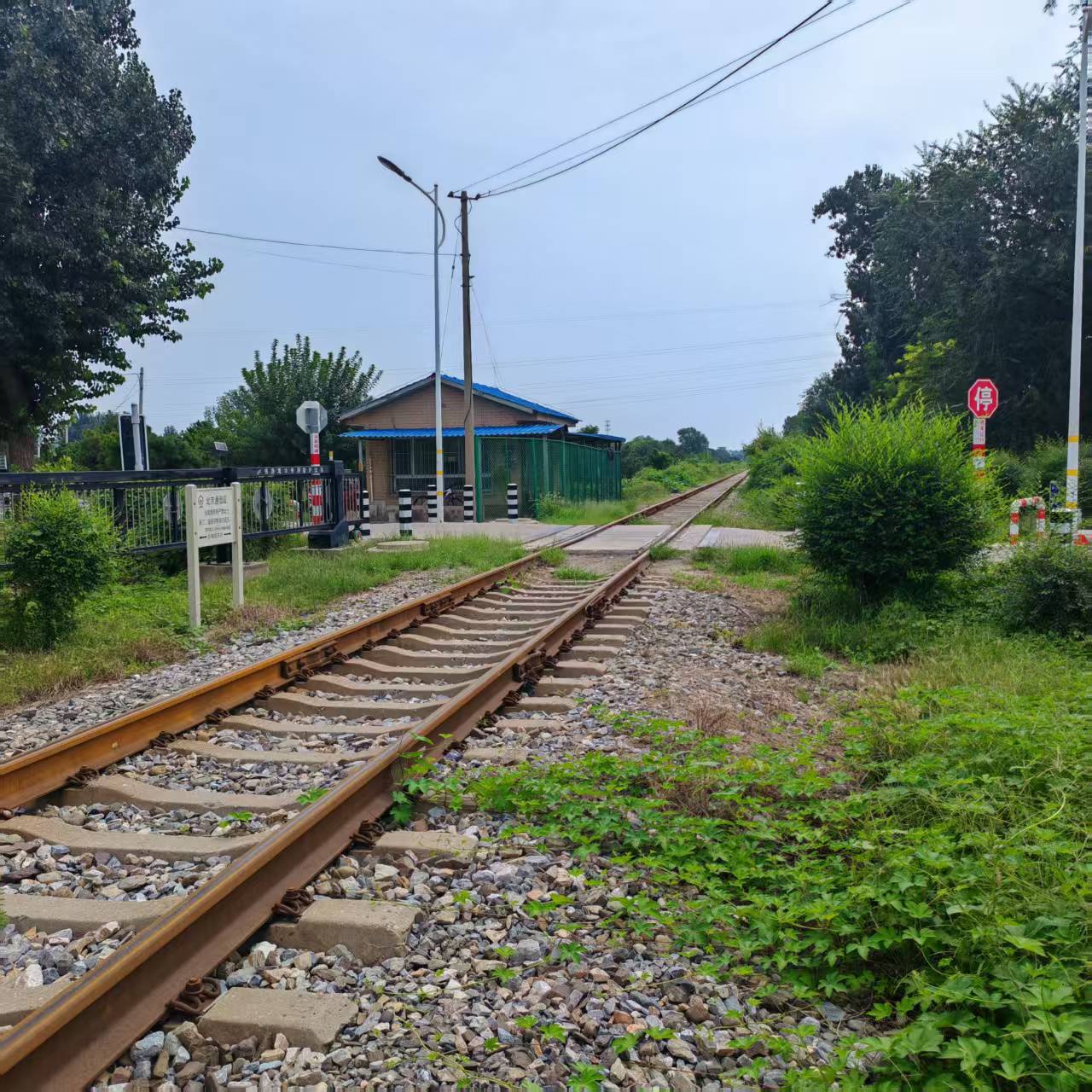 大韩继铁路道口项目